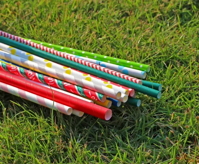 Bamboo Pulp Paper straw