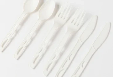 Célébrer le jour de l'indépendance du Ghana avec des pailles et des couverts en PLA : un pas durable vers un avenir plus radieux
