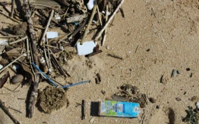 The Hidden Cost of Summer Holidays: A Cleaner Solution