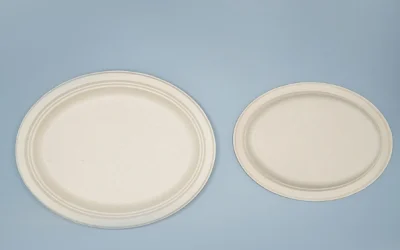What is the best disposable cutlery for the environment: A 2025 Expert Comparison of 5 Top Materials